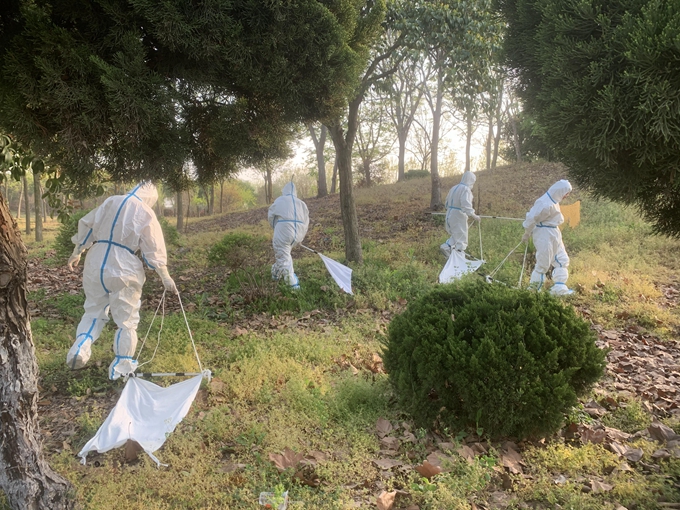 1681464283519968.jpg 1.JPG