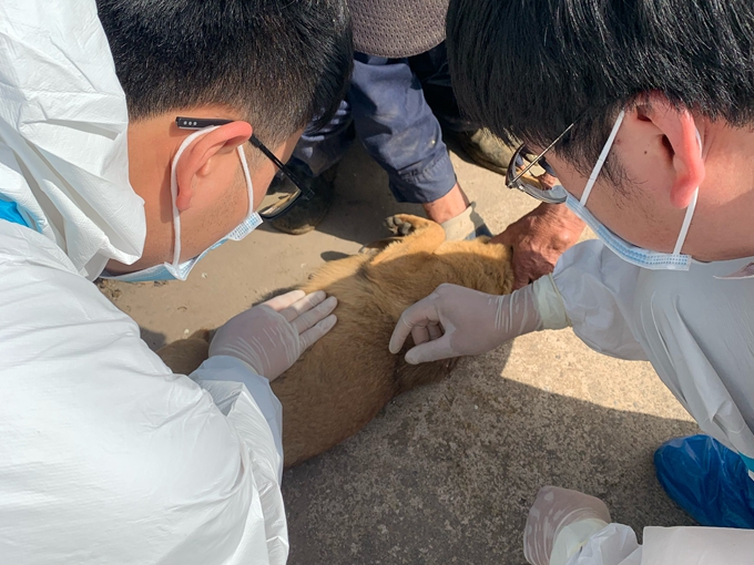 1681464572507059.jpg 微信图片_20230413155423.jpg