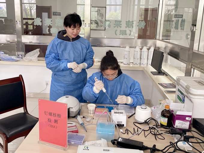 1682414282307661.jpg 扬州市钉螺集中解剖工作在邮顺利开展图片3.jpg