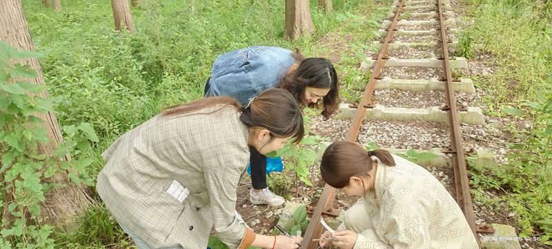 1685345380598506.jpg 9efeb09a3fed1b824eb8c2bc1af4dcc.jpg