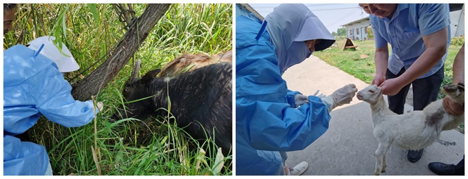 1717554020642353.jpg 111.jpg