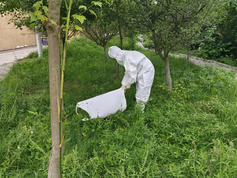 1718677227932371.jpg 公园广场 蜱虫监测.jpg