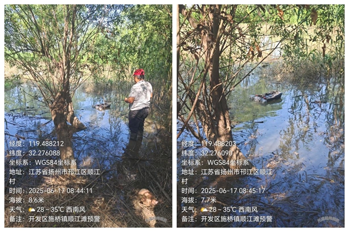 1750319945255711.jpg 光影魔术手拼图.jpg